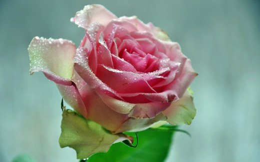 755934 (a): :2560x1600